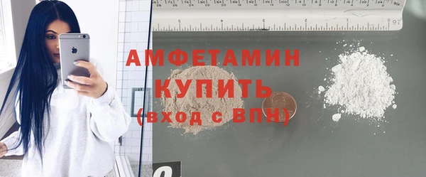 ГАЛЛЮЦИНОГЕННЫЕ ГРИБЫ Верея