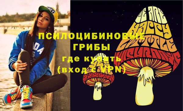 сатива Бронницы