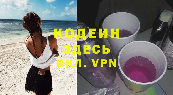 гидра Верхний Тагил