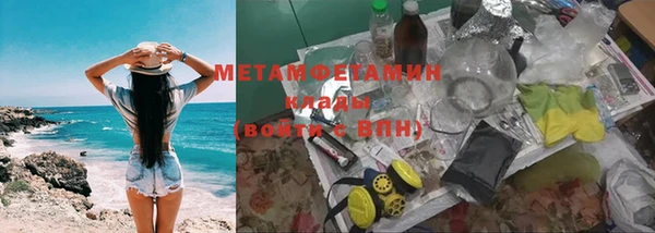 ГАЛЛЮЦИНОГЕННЫЕ ГРИБЫ Верея