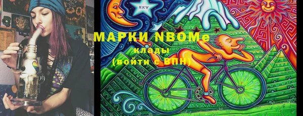 гидра Верхний Тагил