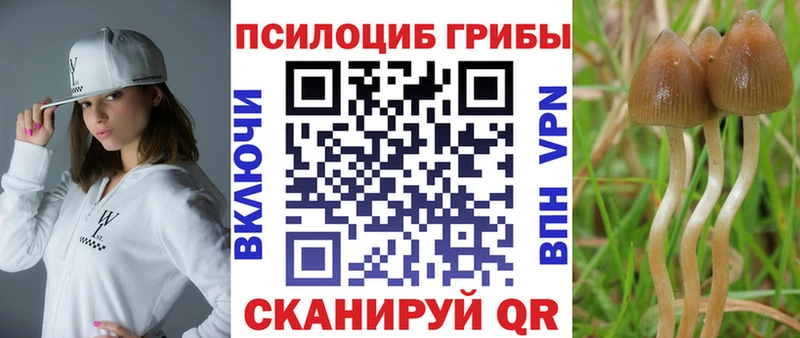наркошоп  Верхний Тагил  Галлюциногенные грибы MAGIC MUSHROOMS 